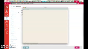 Authorizing Google Drive in Canvas