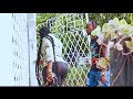 JUDGEMENTAL | Short Film (Jamaican Movie)