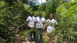 MIZU ECO-CARE'S 2024 FIRST QUARTER ENVIRONMENTAL BRIEF
