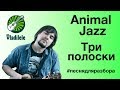 Animal Jazz - Три полоски (видеоурок, разбор на укулеле)