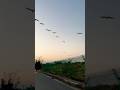 Birds in the sky 🌌 #birds #travel #youtubeshorts #shorts #shortsviral #friendship