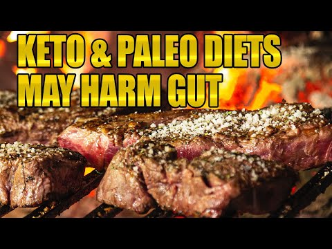 It's time to leave the Paleo Diet in the past: Recent studies have