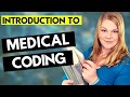 INTRODUCTION TO MEDICAL CODING - What is a medical coder and what do they do - Beginner Guide.