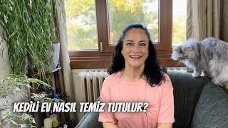 Kedili evi temiz tutmak imkansız değil! Kolayca uygulayabileceğiniz bir kaç öneri için hadi seyredin