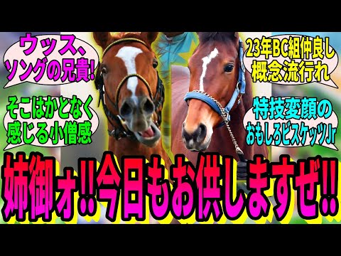 【競馬の反応集】「デルマソトガケ、メイケイエールに恋する？」に対する視聴者の反応集