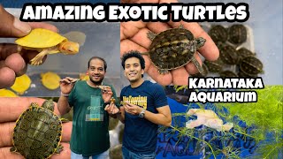 Exotic Turtles in India | Peacock Slider Turtle | Albino Red Eared Slider | Varieties of Turtles