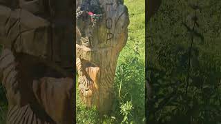 #алтай место силы. Техника отказывается #работать . Идем в #ущелье горных духов. Впереди #водопад.