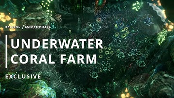 Animated Dungeon Maps - UNDERWATER Coral Farm EXCLUSIVE Battle Map Preview