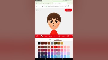 Wii Sports CPU Mii Tate