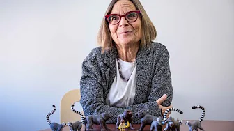 ASU primatologist Joan Silk talks about her new essay, "The natural history of social bonds"