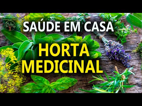 Vídeo: Aprenda sobre a xylella e a lavanda - como identificar os sintomas da xylella de lavanda