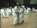 Kumite seminar by Soke Kubota 1997  | Legendary Budo Masters