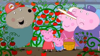 Granddad Dog's Greenhouse 🍅 | Peppa Pig Official Full Episodes