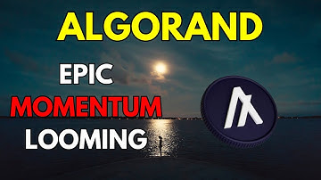 ALGORAND Price News Today & Technical Analysis &  Price Prediction 2023/2024
