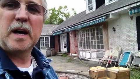 Bees, Bees, Bees - Installing 20 Nucs into Warre Hive Boxes!!