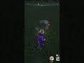 Smoke bombs need a BUFF #palia #paliagameplay #shorts #streamclips