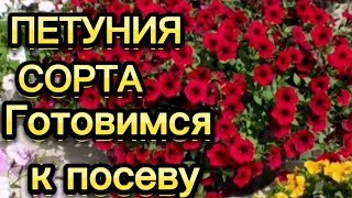 🌺ПЕТУНИЯ.🌺СОРТА.🌺Готовимся к посеву.