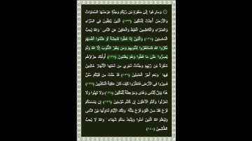 سورة آل عمران الآية 135 | بصوت الشيخ د.ياسر الدوسري