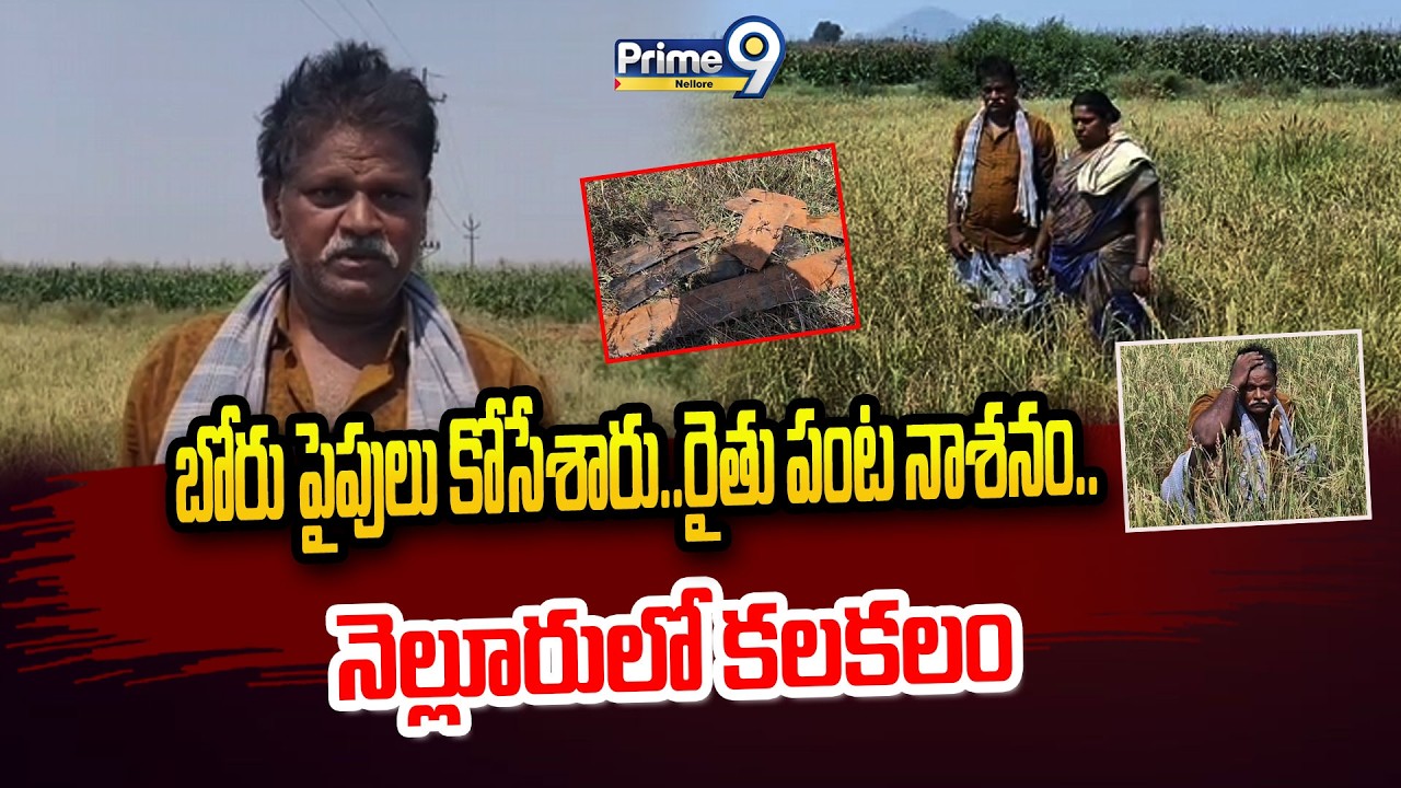 బోరు పైపులు కోసేశారు..రైతు పంట నాశనం.. నెల్లూరులో కలకలం | Prime9 Nellore