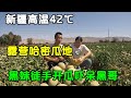 新疆吐鲁番高温42℃，直接露营在哈密瓜地，给小咖啡洗个澡【868房车旅行】