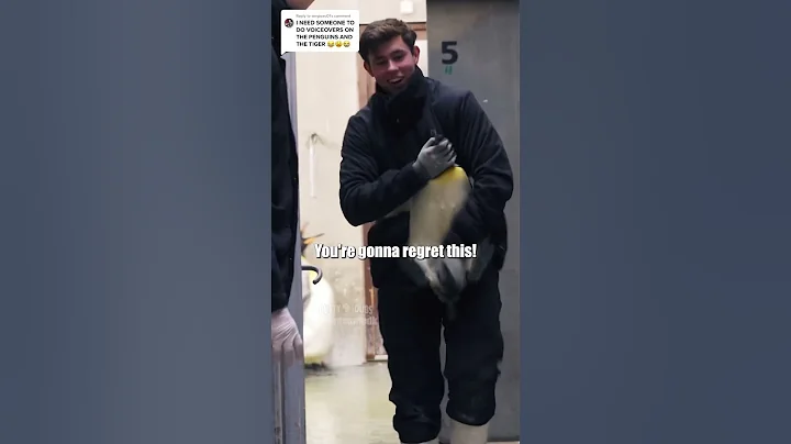 🐧 Penguin Prison 🎥: odensezoodk (🕰️) #shorts