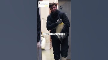 🐧 Penguin Prison 🎥: odensezoodk (🕰️) #shorts