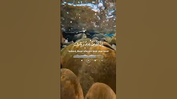 سورة الأعراف || من الأية 204 إلى الأية 206