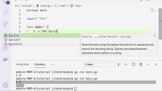 Sprint(), Sprintln(), Sprintf() functions in go