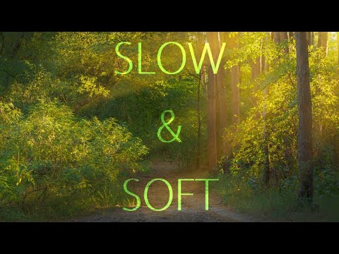 Soft background music / slow background music - YouTube