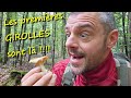 Champignons les premires girolles 2024 