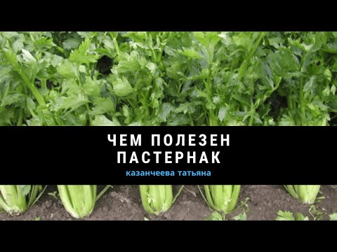 Пастернак. Лечебные свойства. 79 выпуск