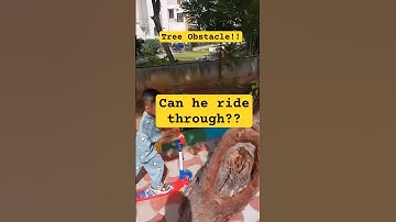 Scooter Challenge Day 6: Tree Obstacle Test! 🛴 #Shorts