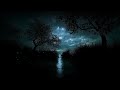 Relaxing River to get Rest and Wind Down | Water Sounds for Sleeping - Dimmed Screen