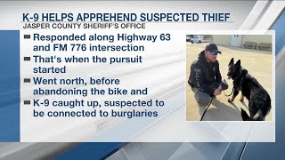 Jasper officers, K9 apprehend fleeing  man possibly linked to thefts, burglaries