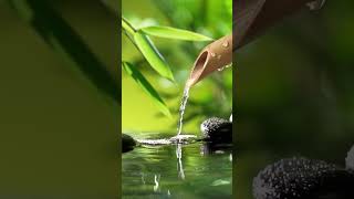 Bamboo Relaxing Music  Water Fountain Meditation Music Sleep Music Piano Music Stress Relief Music