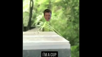 Stick bug turns into Rick astley ( Stick Astley)|| 😈Read the description😈