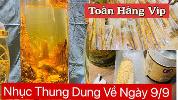 Nhục Thung Dung Sa Mạc | Chuyến Hàng Đầu Mùa Đầy Vội Vã