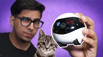 The Robot Catpal is BACK! - Enabot EBO SE Robot Showcase