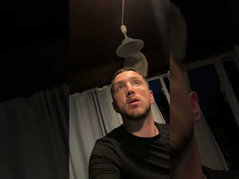 Летучая мышь залетели в дом к гусляру.