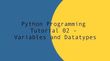 Python 3 Programming Tutorial - Variables and Datatypes