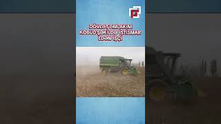 Dövlət Əmlakını Kobud Istismar Edən Işçi.