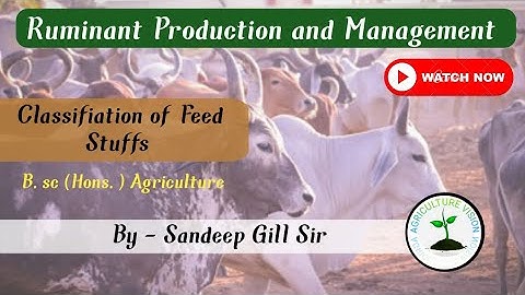 Classification of Feed Stuffs #animal_husbandry