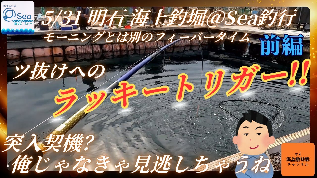【海上釣堀】ツ抜けへのラッキートリガー‼　明石＠Sea貸し切り釣行5/31