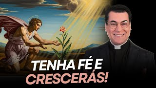 Tenha Fé Você Vai Crescer E Vencer Não Desista Pe. Chrystian Shankar -