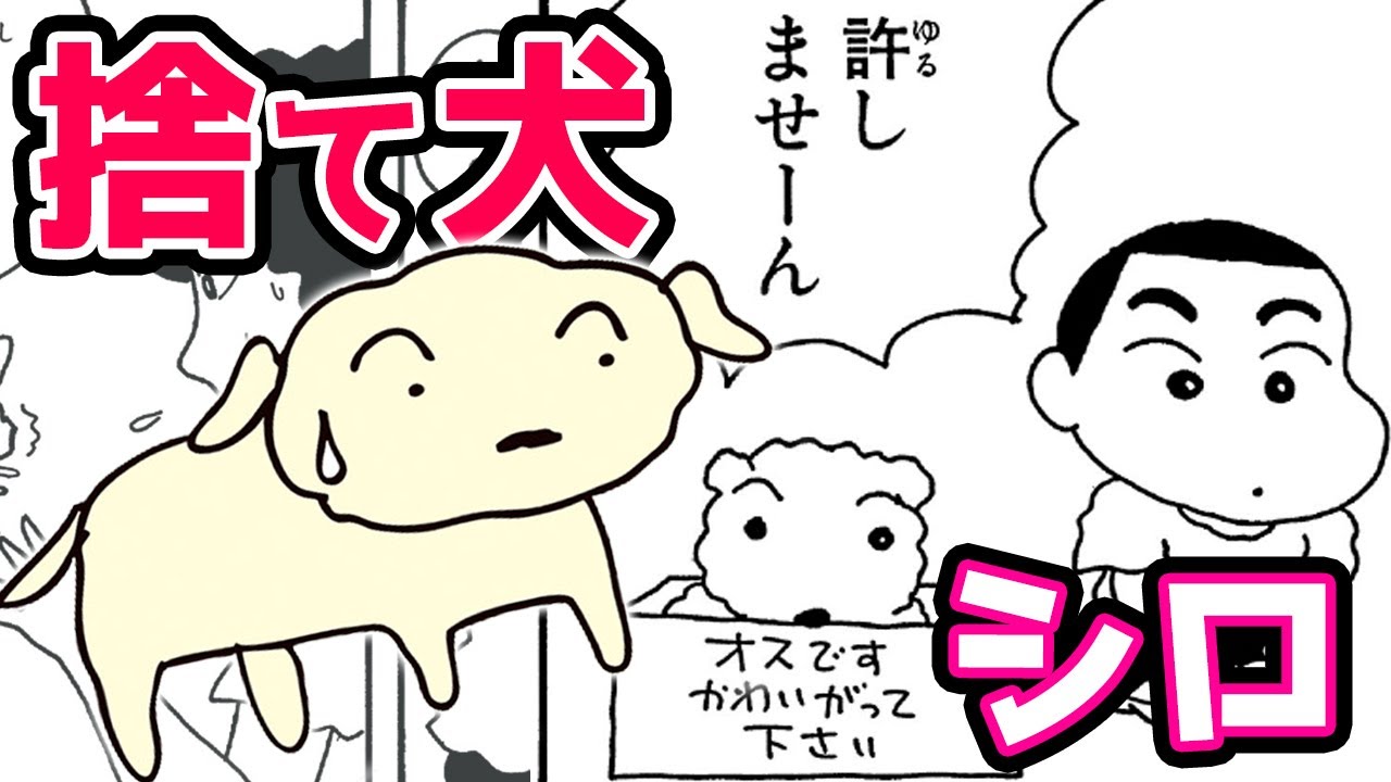 漫画 捨て犬だったシロを飼いたいしんちゃんだが みさえの許可は下りず シロのエピソード クレヨンしんちゃん クレヨンしんちゃんねる Youtube