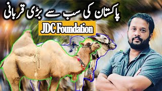 Sohrab Goth Mandi 2020 K Sab Say Mehengay Janwar JDC Nay Utha Liyay | Cow Mandi 2020