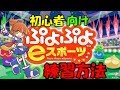 【ぷよぷよeスポーツ】初心者の方に向けての練習方法など！