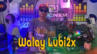Brother Louie Bisaya Version | Balod2x Mix | Dj Ericnem