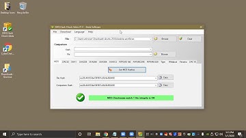 File Hashing Demonstration