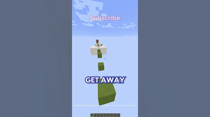 Minecraft's Craziest Villager Chase...